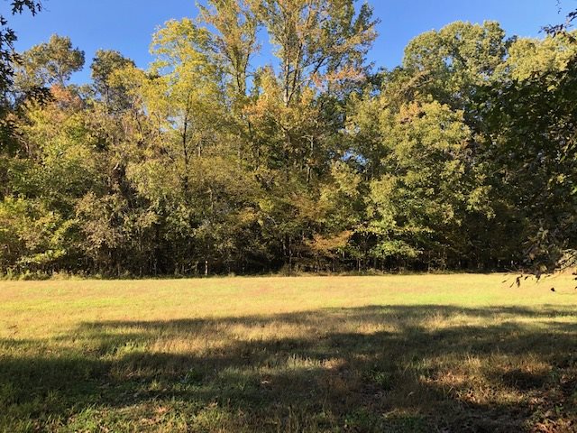 10314 Pleasant Ridge Road Arlington, TN 38002 - Photo 1 of 1