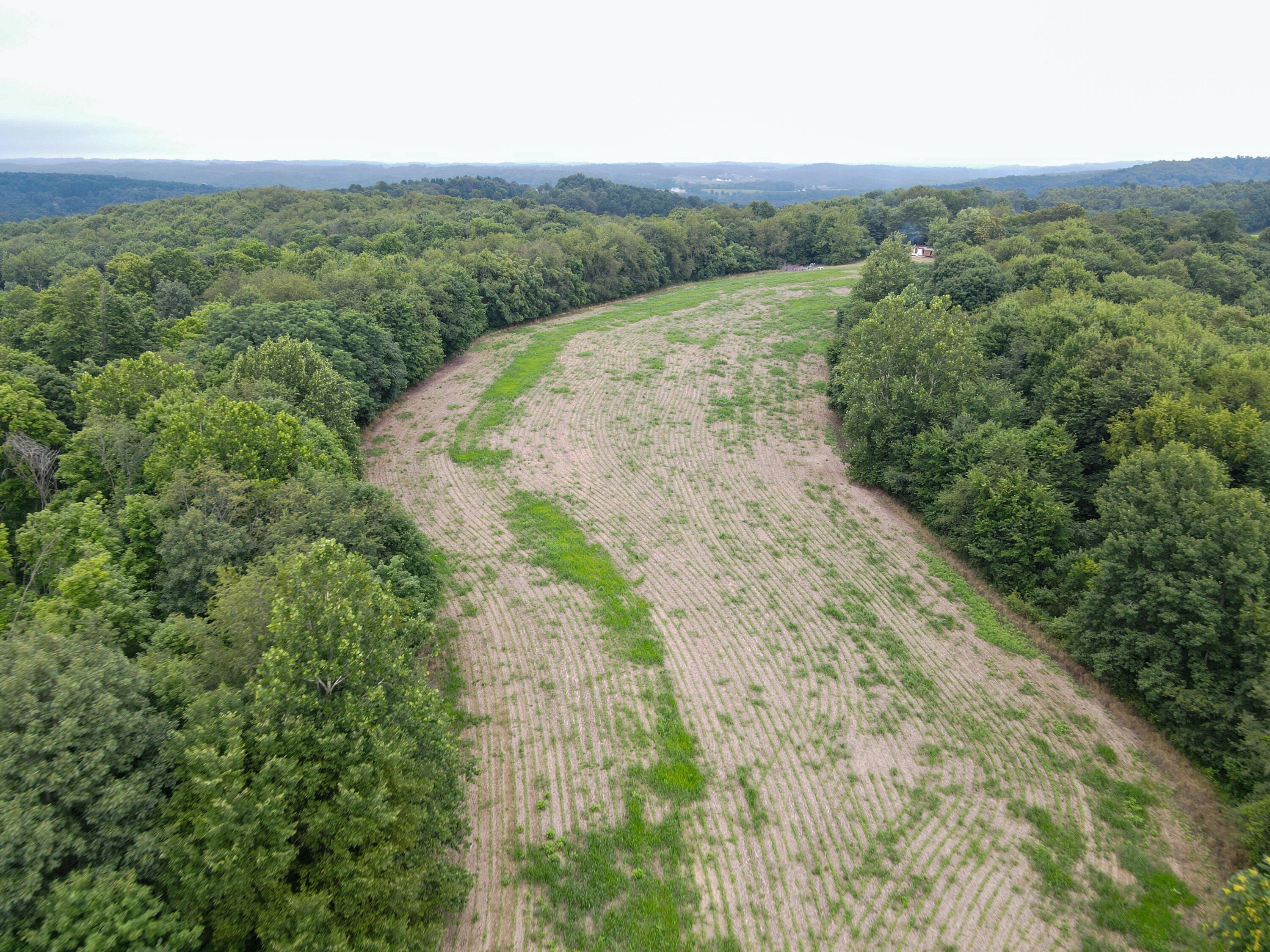 0 North Butler Liberty Road Butler, OH 44822 - Photo 32 of 47 DJI_0499