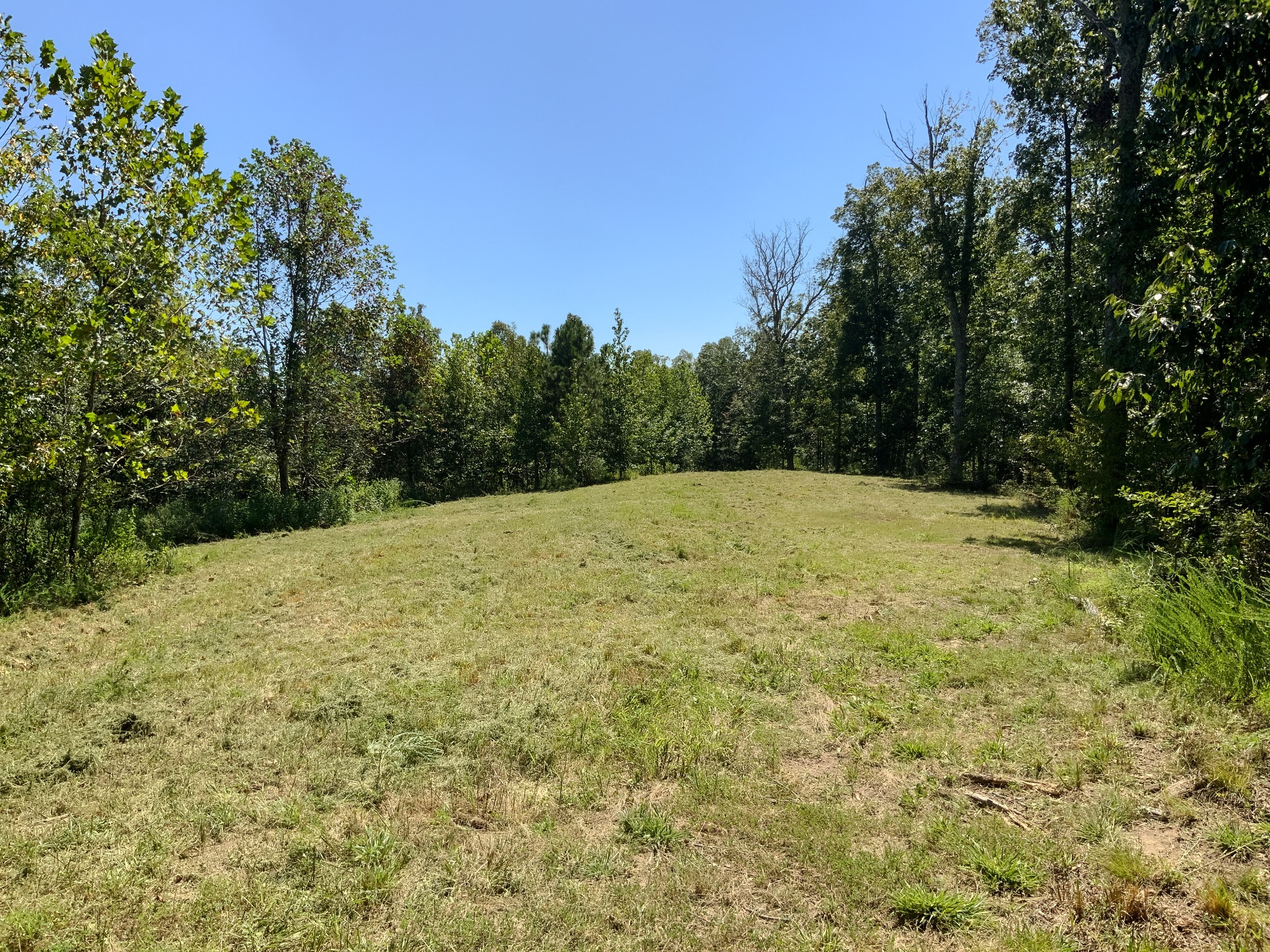 0 Streamside Drive Dover, TN 37058 - Photo 10 of 28 Gallery Image 10