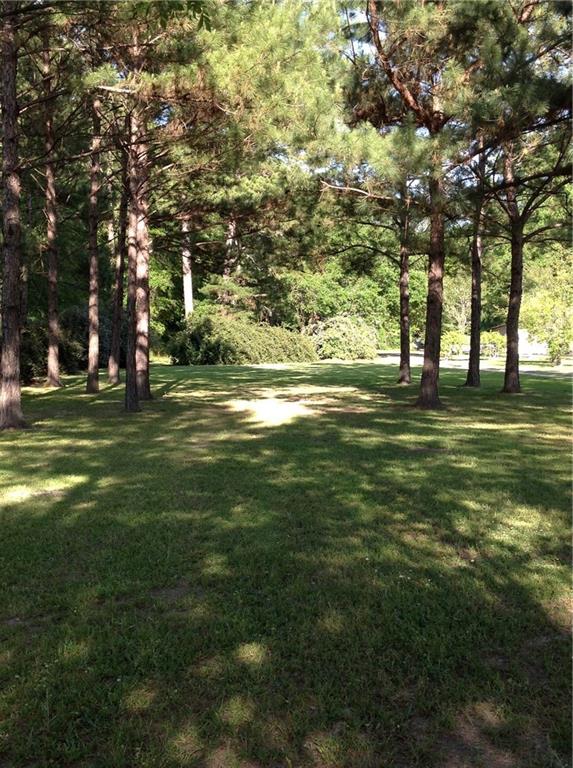 41316 Dunson Road Ponchatoula, LA 70454 - Photo 19 of 22 Gallery Image 19