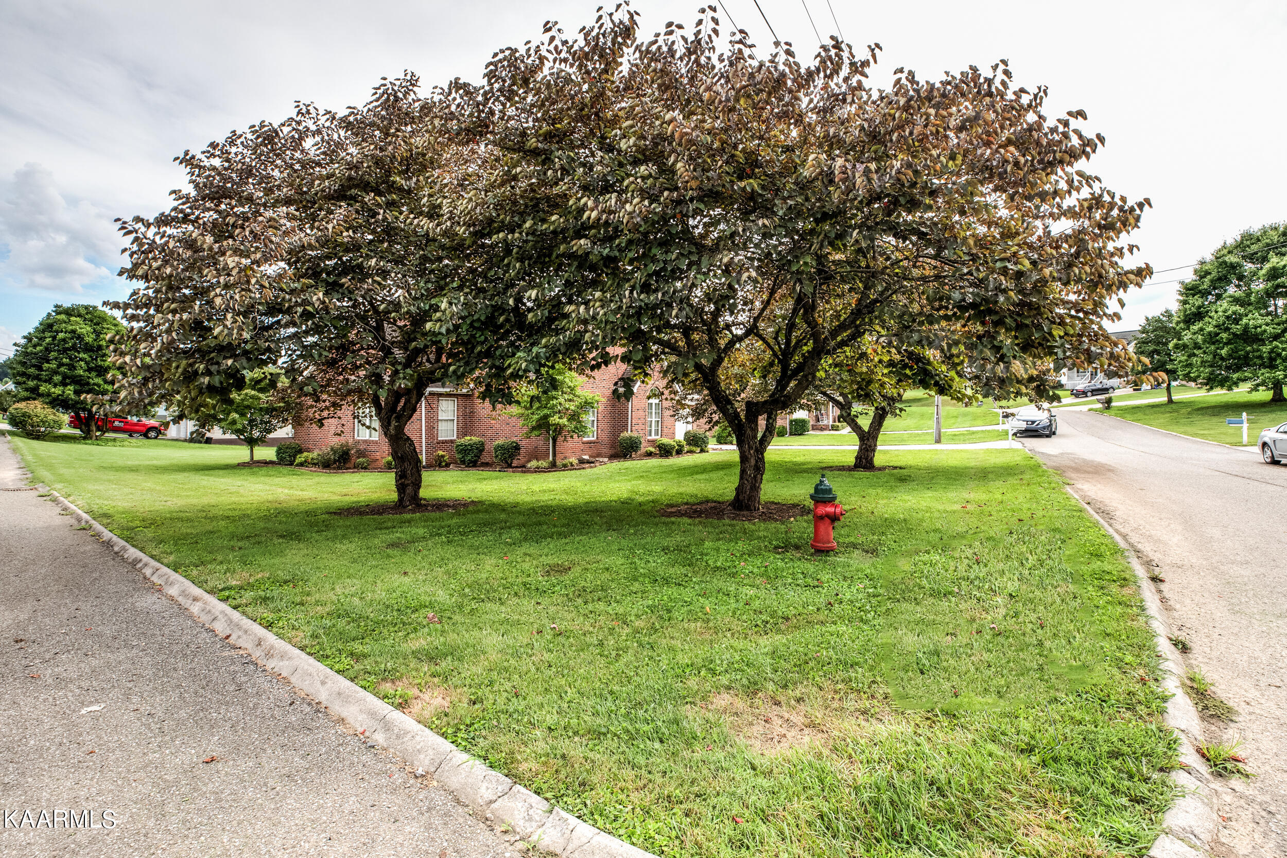 262 Springfield Ln-6