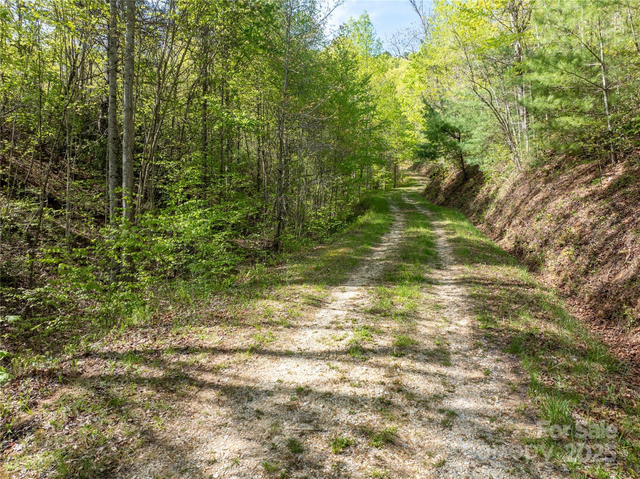 Tbd Shell Stand Road Almond, NC 28702 - Photo 11 of 36