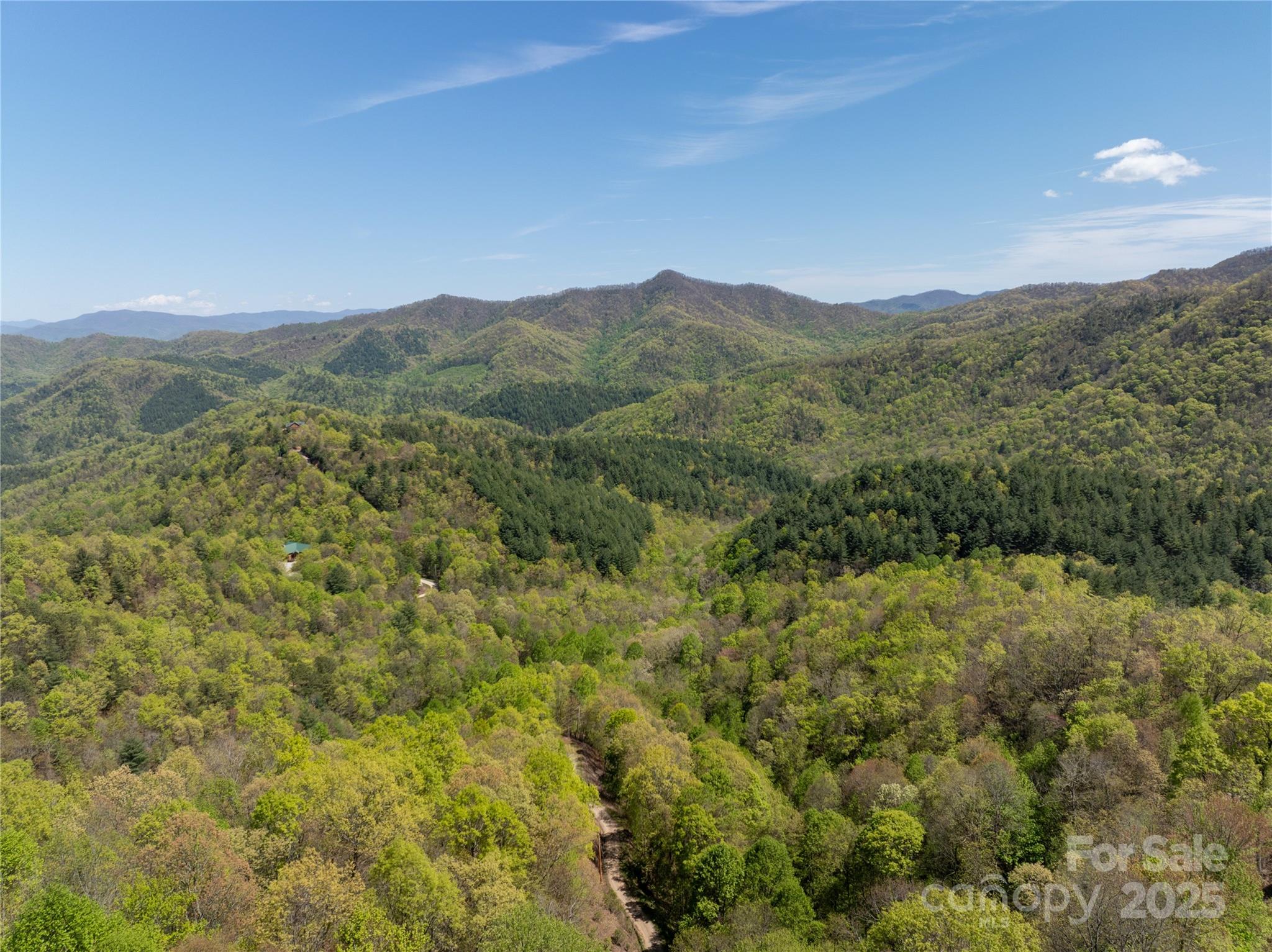 Tbd Shell Stand Road Almond, NC 28702 - Photo 12 of 36