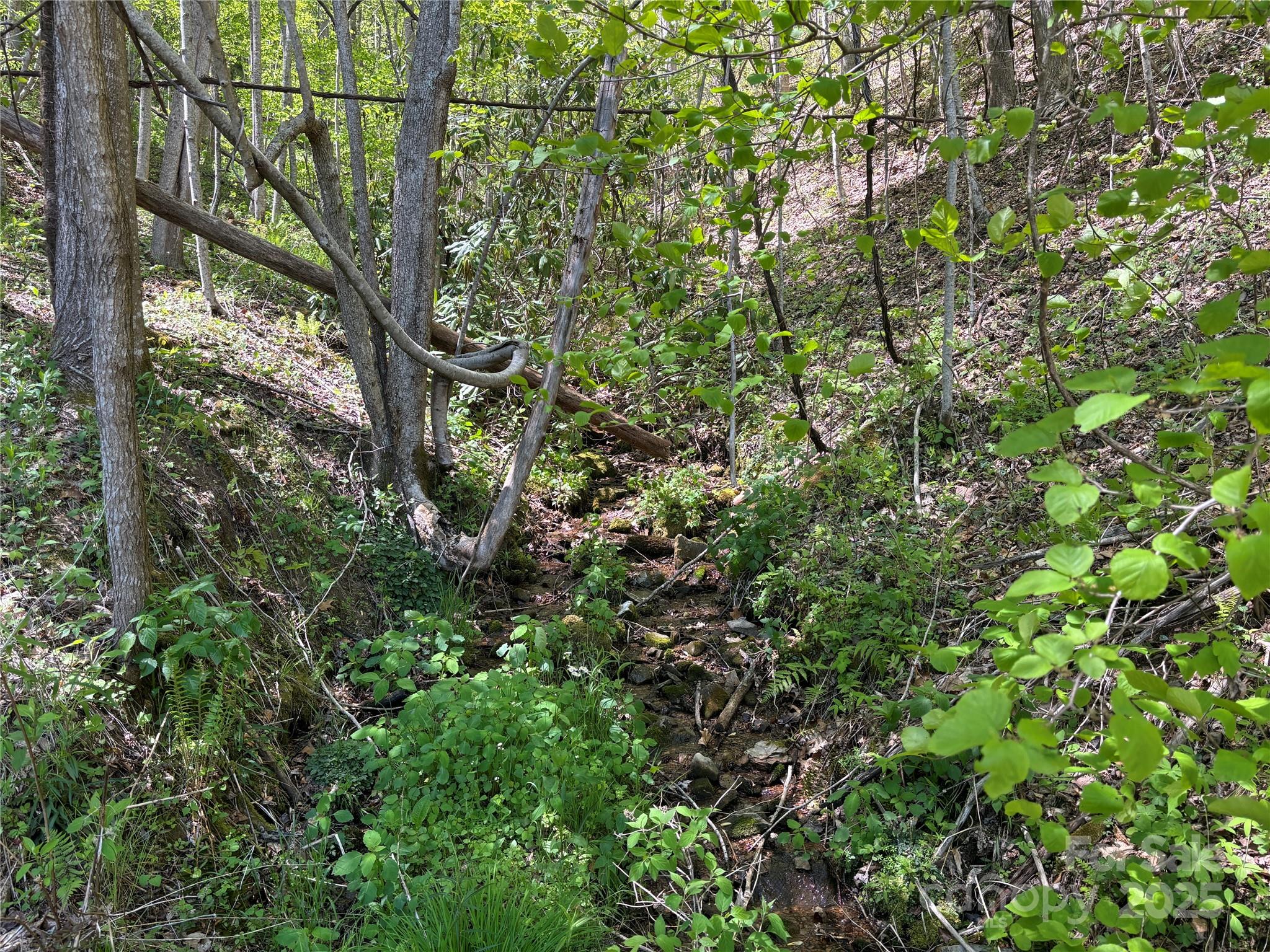 Tbd Shell Stand Road Almond, NC 28702 - Photo 15 of 36