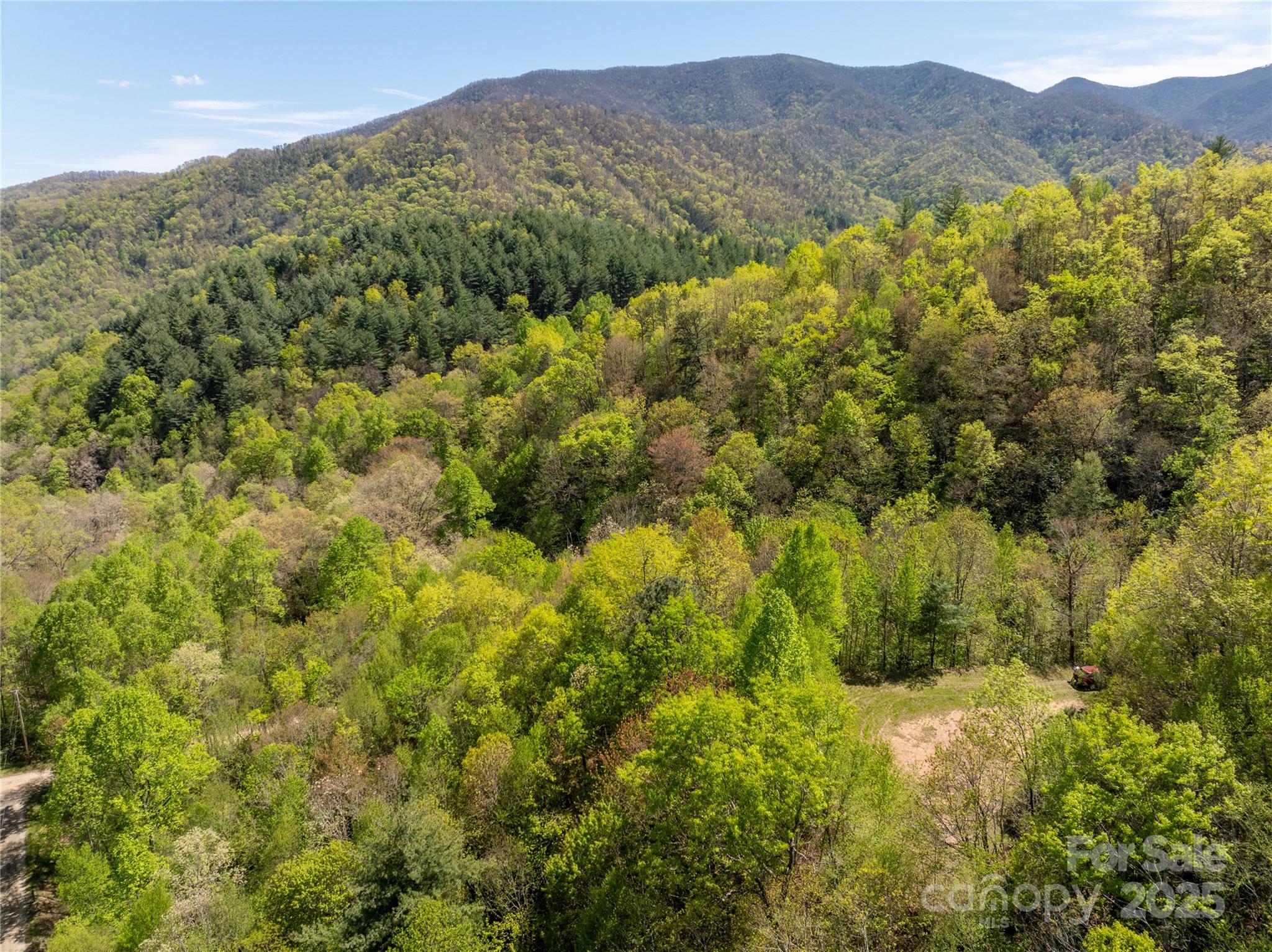 Tbd Shell Stand Road Almond, NC 28702 - Photo 19 of 36