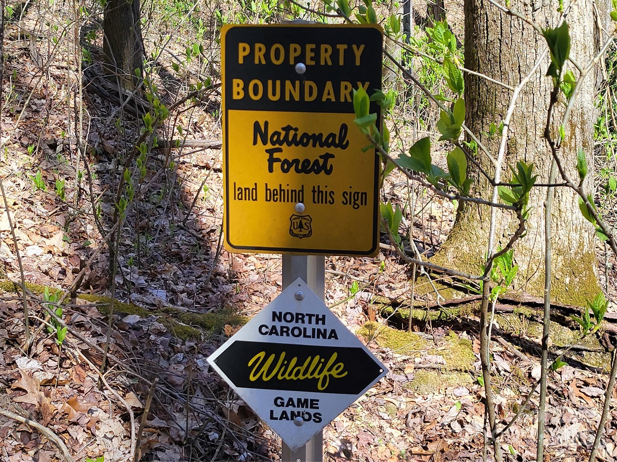 Tbd Shell Stand Road Almond, NC 28702 - Photo 2 of 36