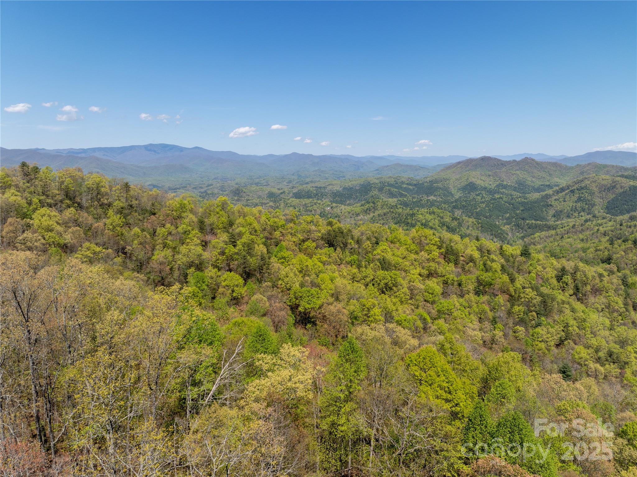 Tbd Shell Stand Road Almond, NC 28702 - Photo 21 of 36