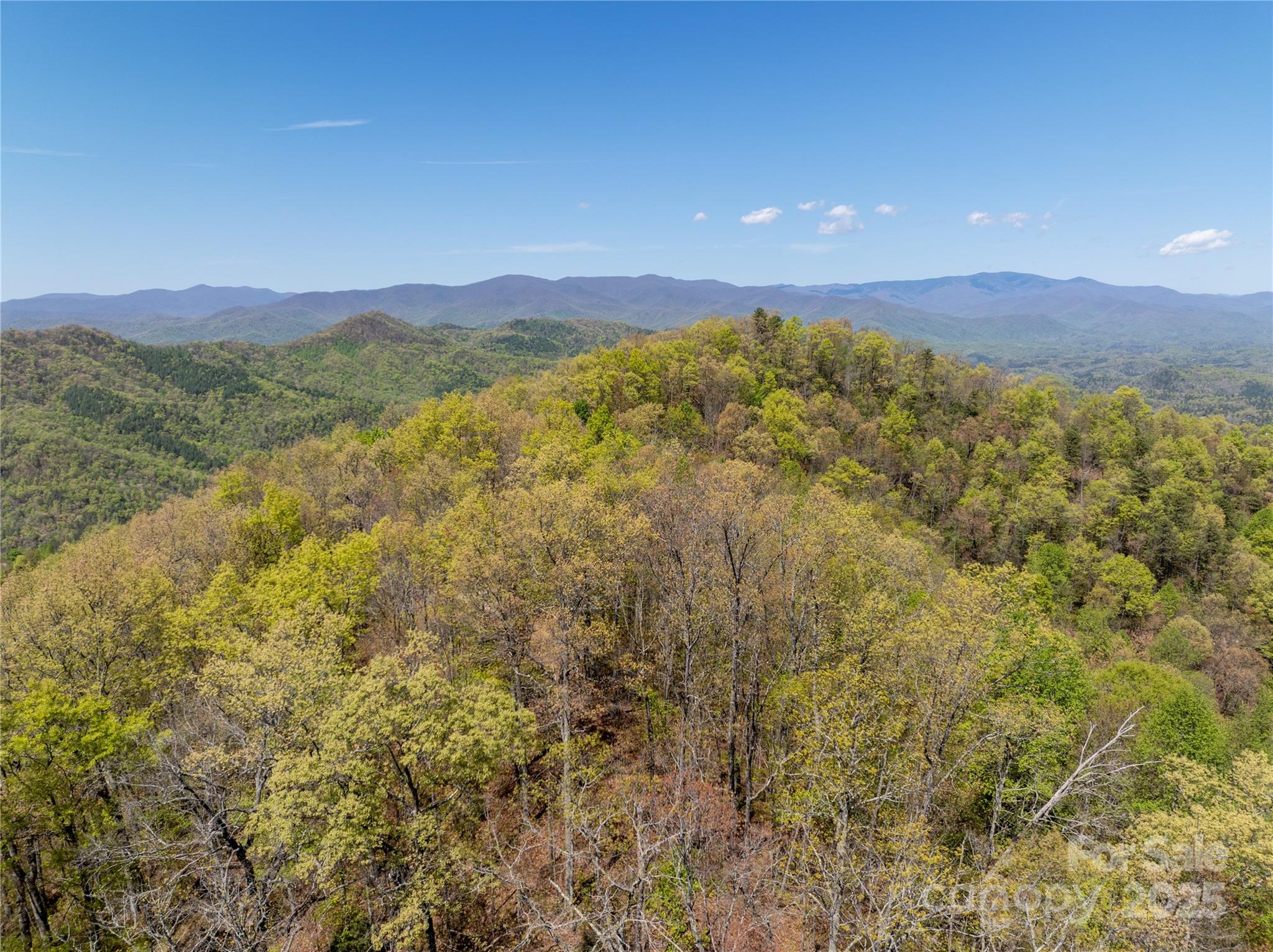 Tbd Shell Stand Road Almond, NC 28702 - Photo 22 of 36