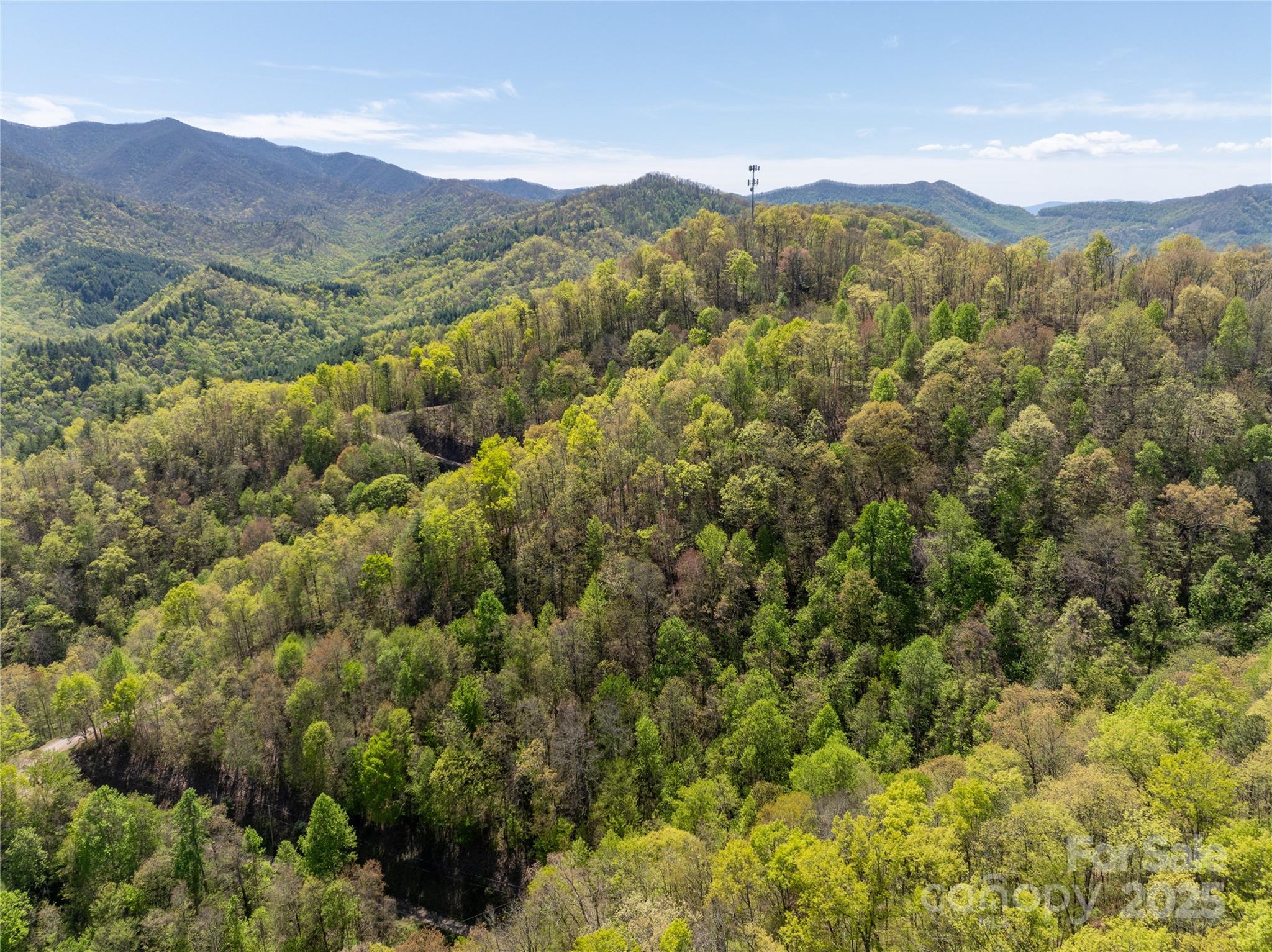 Tbd Shell Stand Road Almond, NC 28702 - Photo 23 of 36