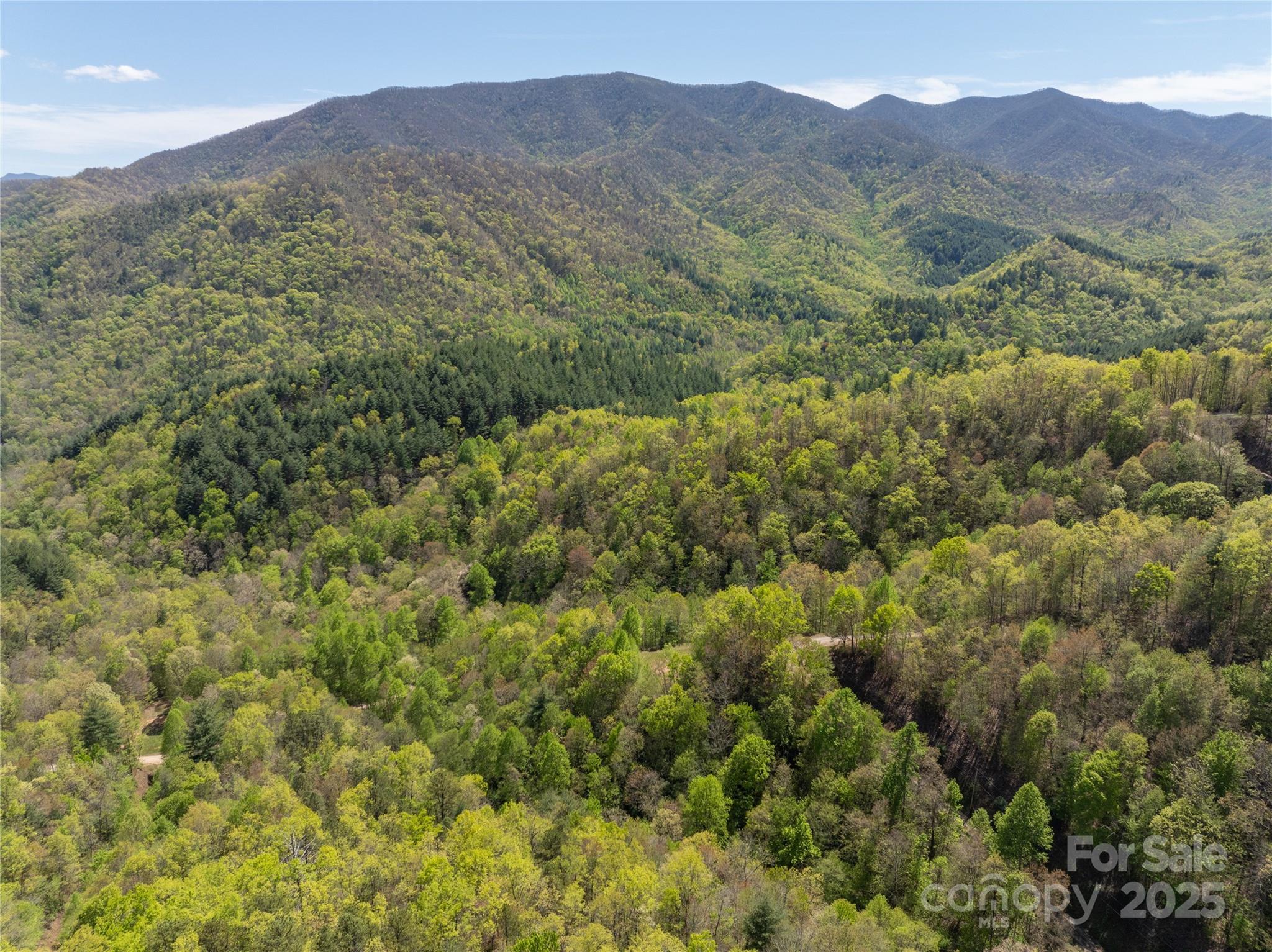 Tbd Shell Stand Road Almond, NC 28702 - Photo 24 of 36