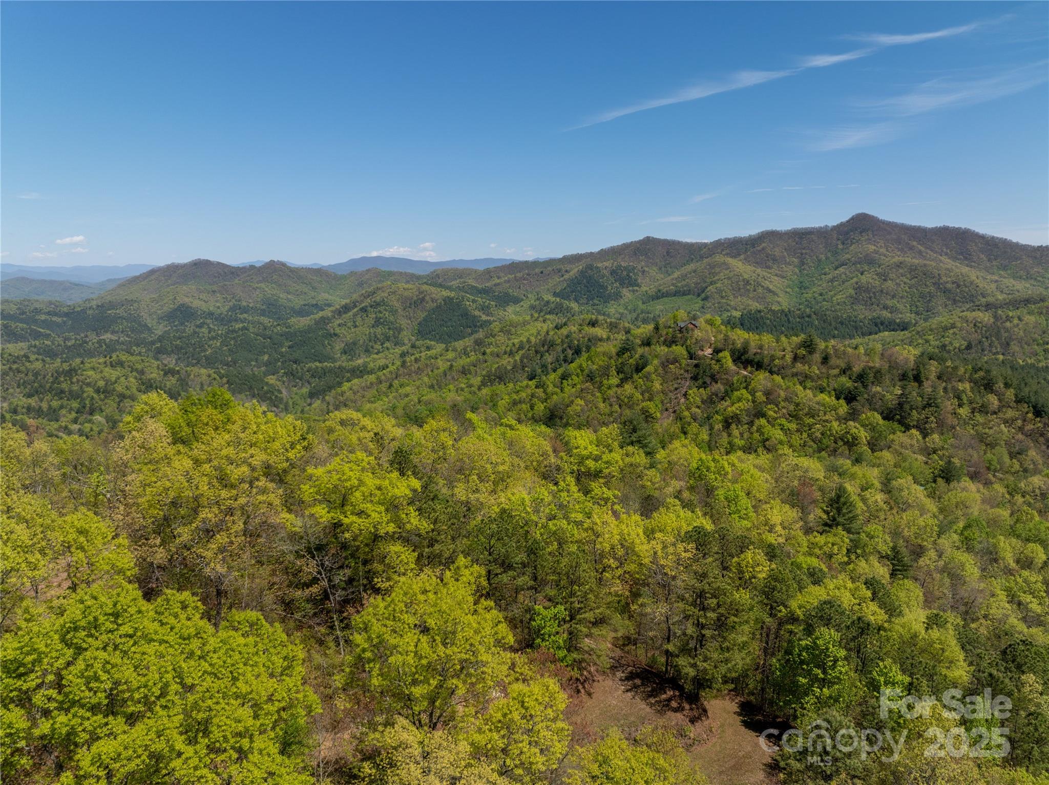 Tbd Shell Stand Road Almond, NC 28702 - Photo 25 of 36