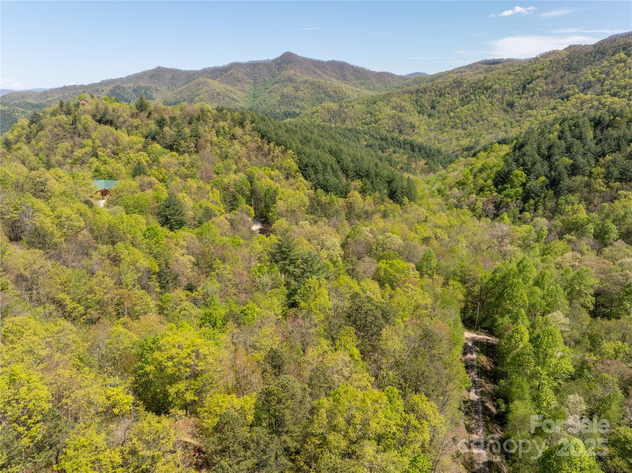 Tbd Shell Stand Road Almond, NC 28702 - Photo 28 of 36