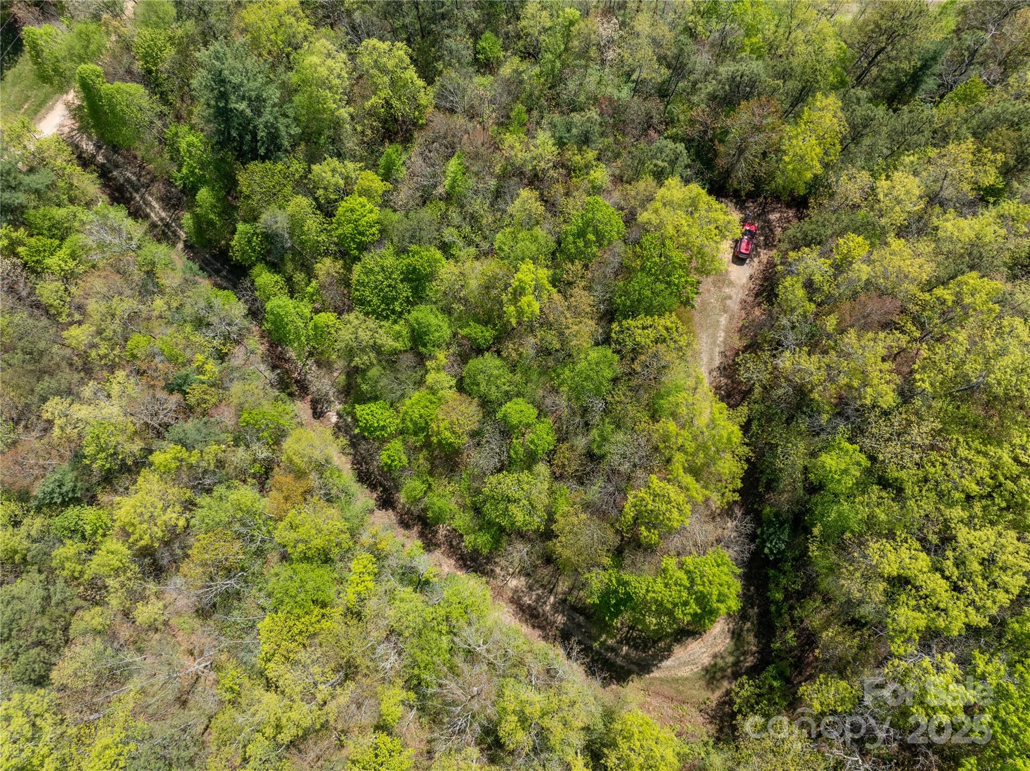 Tbd Shell Stand Road Almond, NC 28702 - Photo 29 of 36