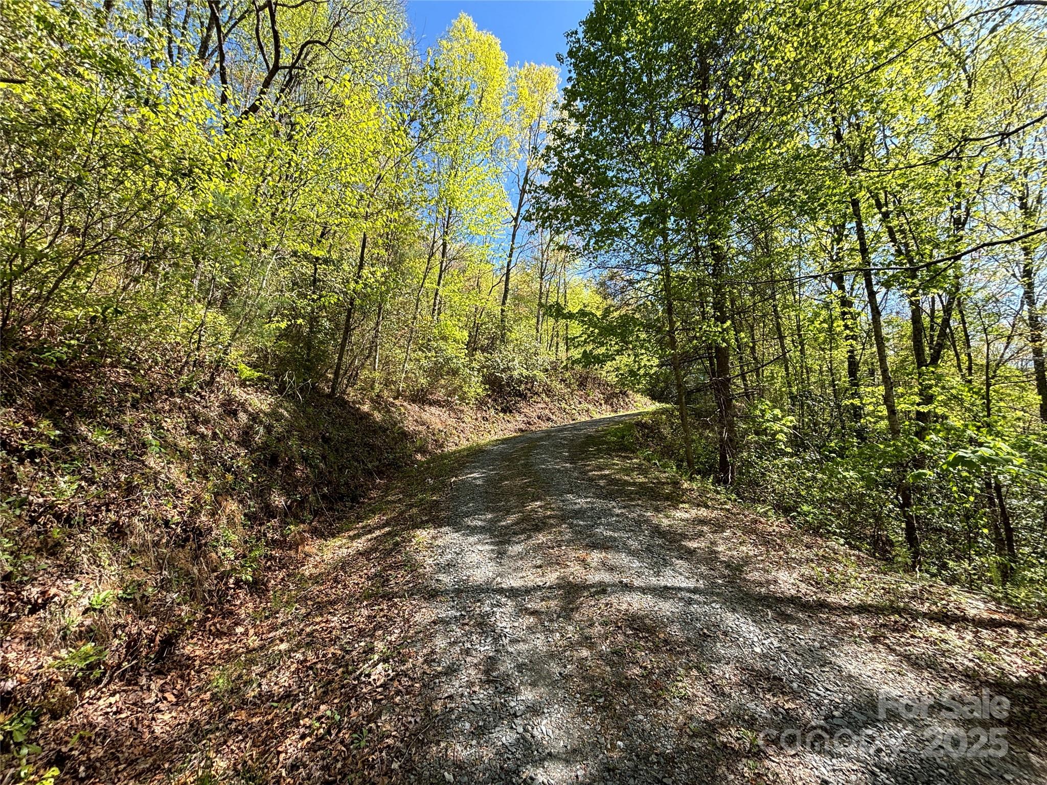 Tbd Shell Stand Road Almond, NC 28702 - Photo 32 of 36