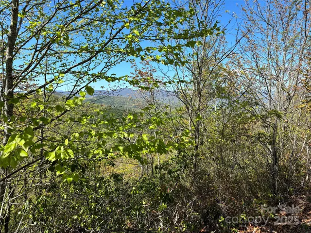 $2,400,000 | Tbd Shell Stand Road, Almond, NC 28702