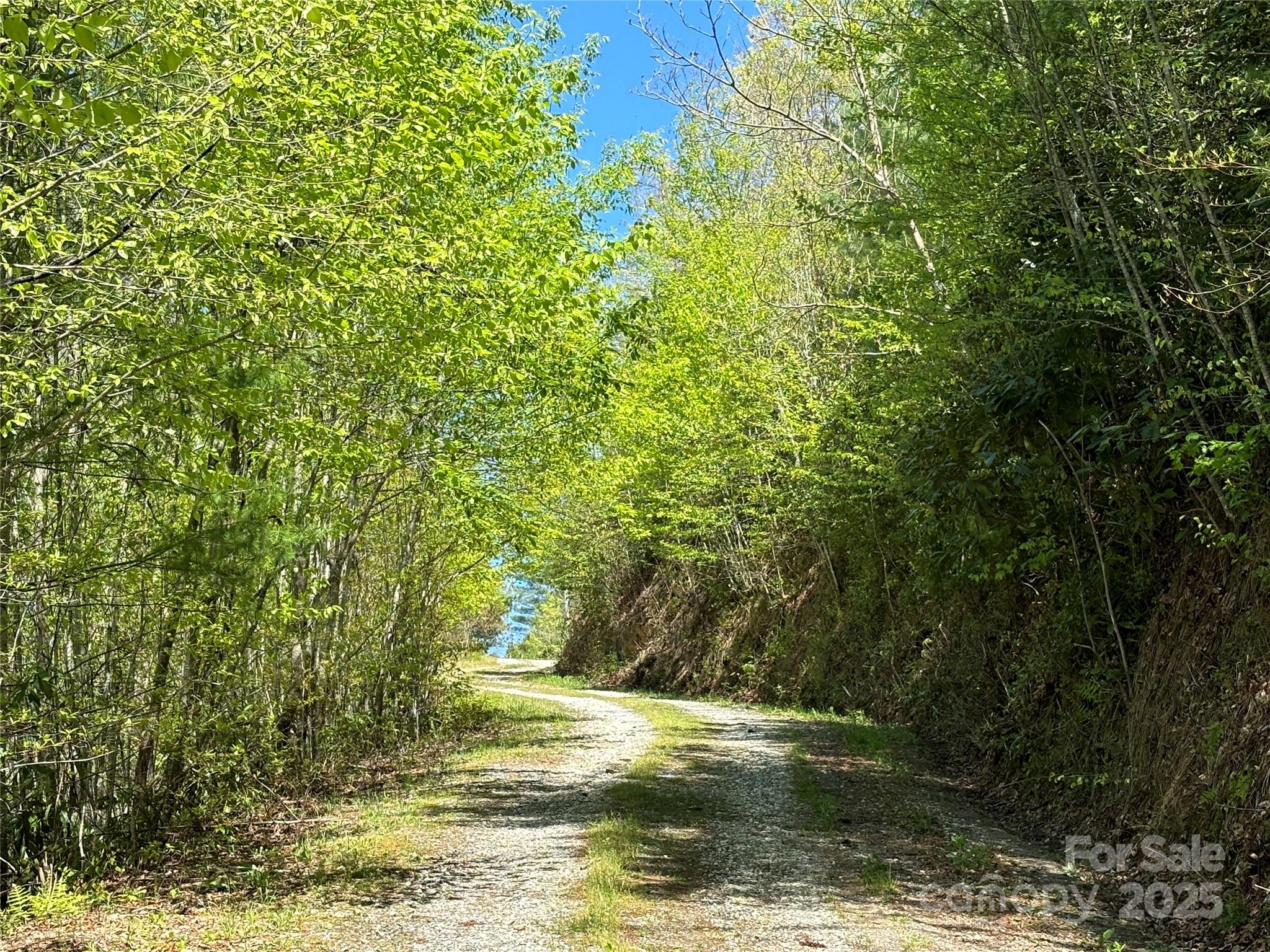 Tbd Shell Stand Road Almond, NC 28702 - Photo 34 of 36