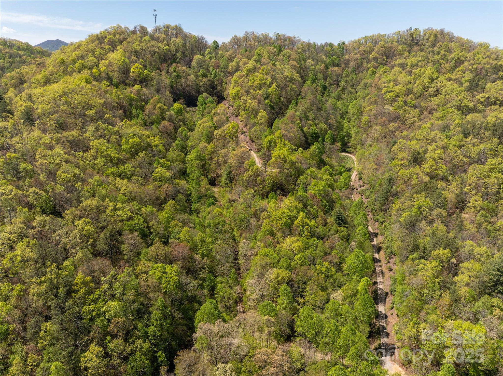 Tbd Shell Stand Road Almond, NC 28702 - Photo 5 of 36