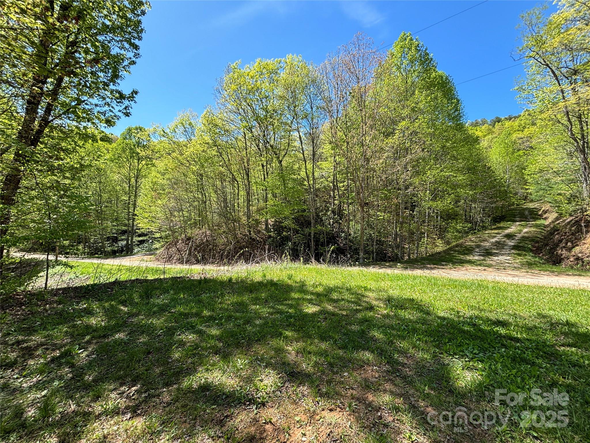 Tbd Shell Stand Road Almond, NC 28702 - Photo 7 of 36