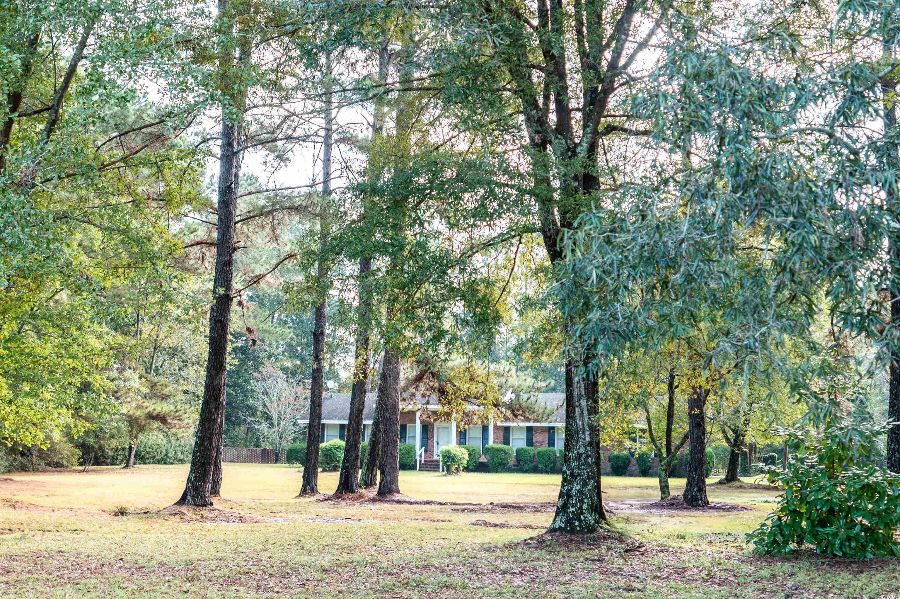 1352 Marion Church Road Salters, SC 29590 - Photo 2 of 25 Gallery Image 2