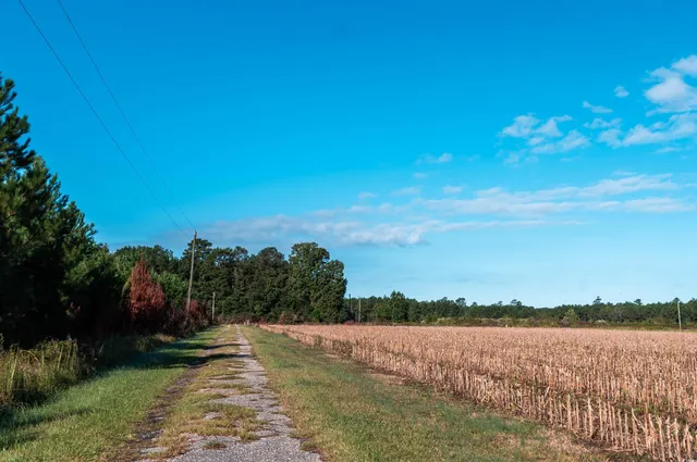 $274,900 | 1352 Marion Church Road, Salters, SC 29590