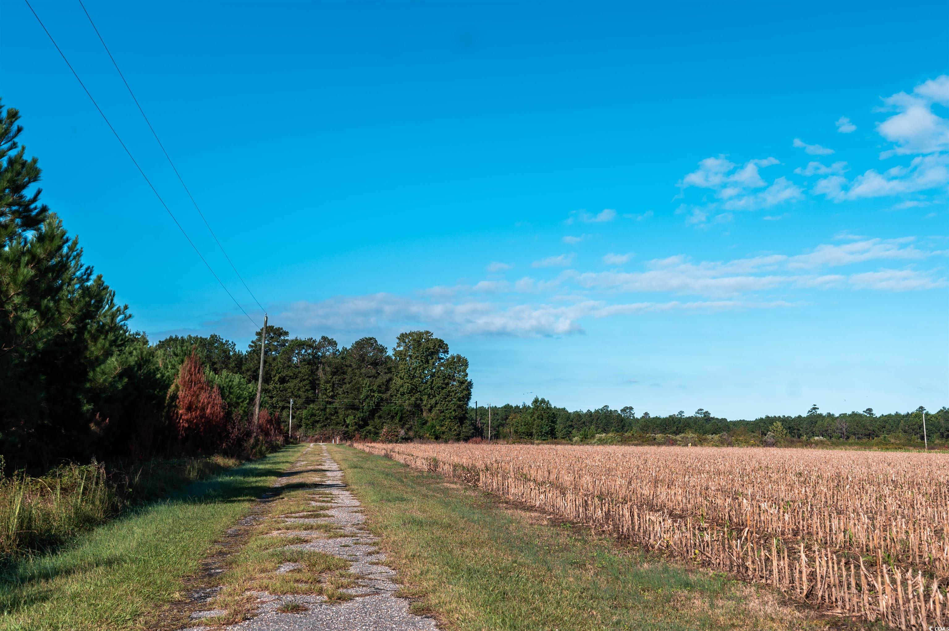 1352 Marion Church Road Salters, SC 29590 - Photo 25 of 25 Gallery Image 25