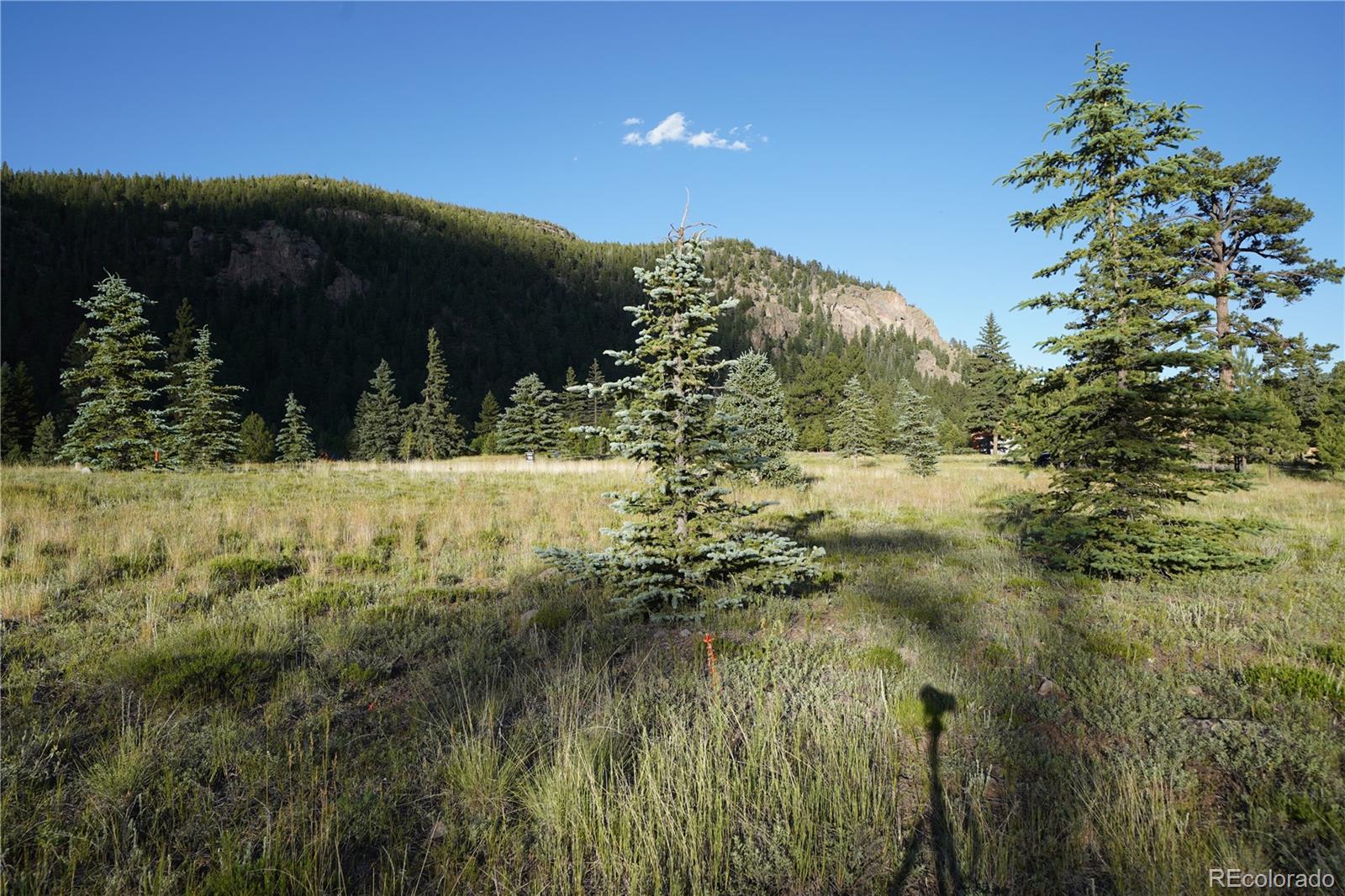 River Run Drive Antonito, CO 81120 - Photo 17 of 22 a view of outdoor space and yard