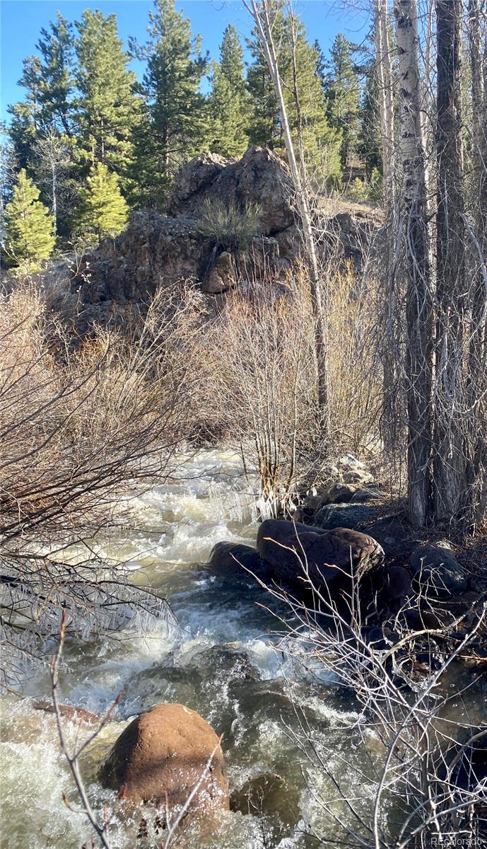 River Run Drive Antonito, CO 81120 - Photo 9 of 22 a view of a backyard with plants and trees