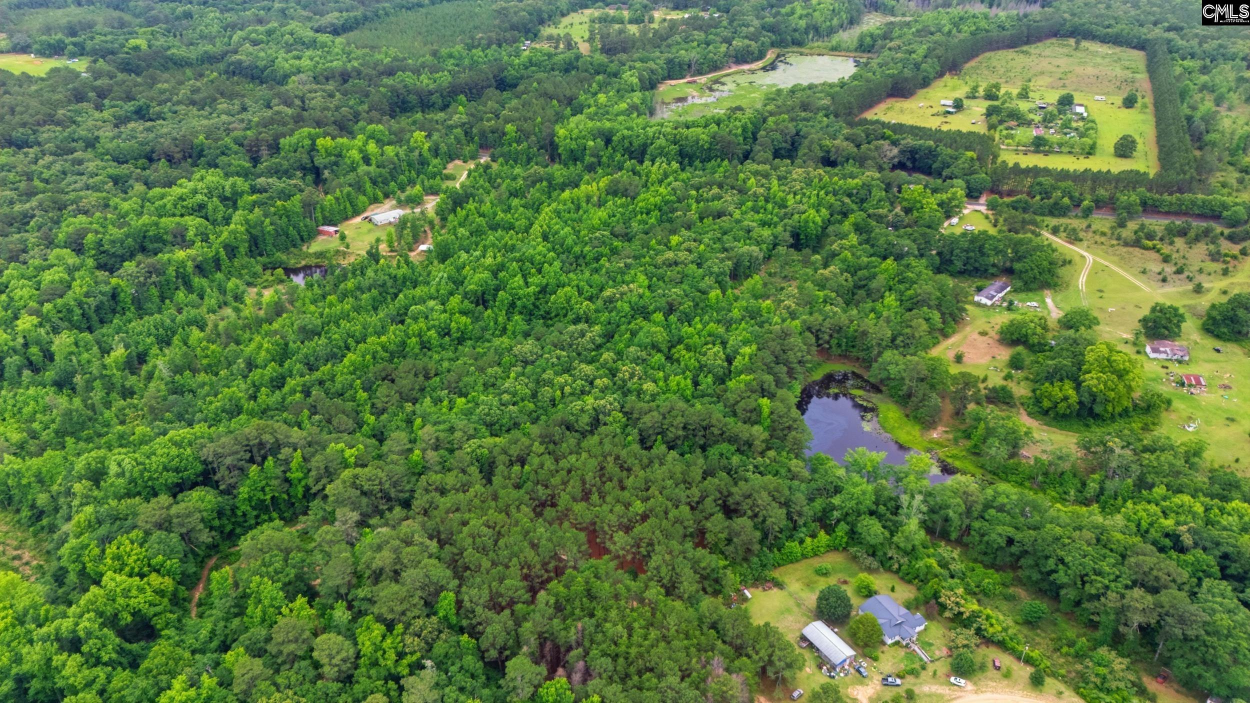 Tbd Basil Road Swansea, SC 29160 - Photo 19 of 19