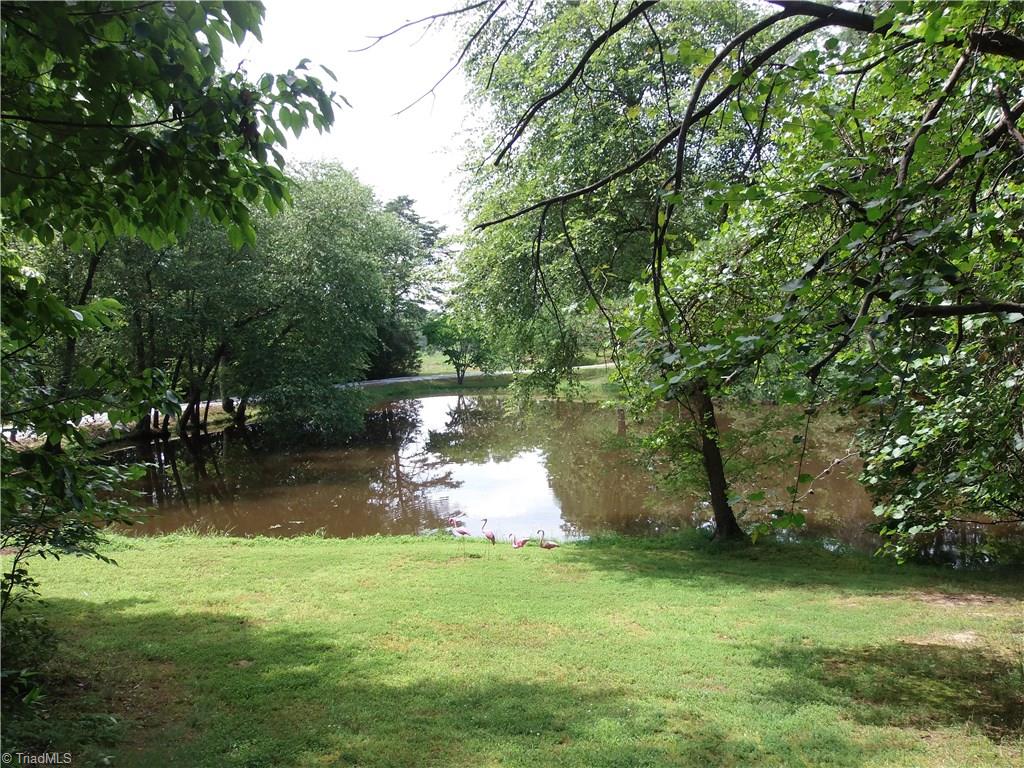 523 Buck Fork Road Dobson, NC 27017 - Photo 4 of 22 Gallery Image 4
