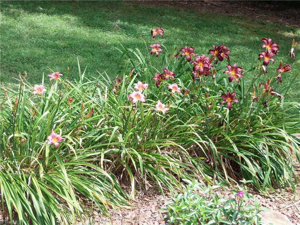 523 Buck Fork Road Dobson, NC 27017 - Photo 6 of 22 Gallery Image 6