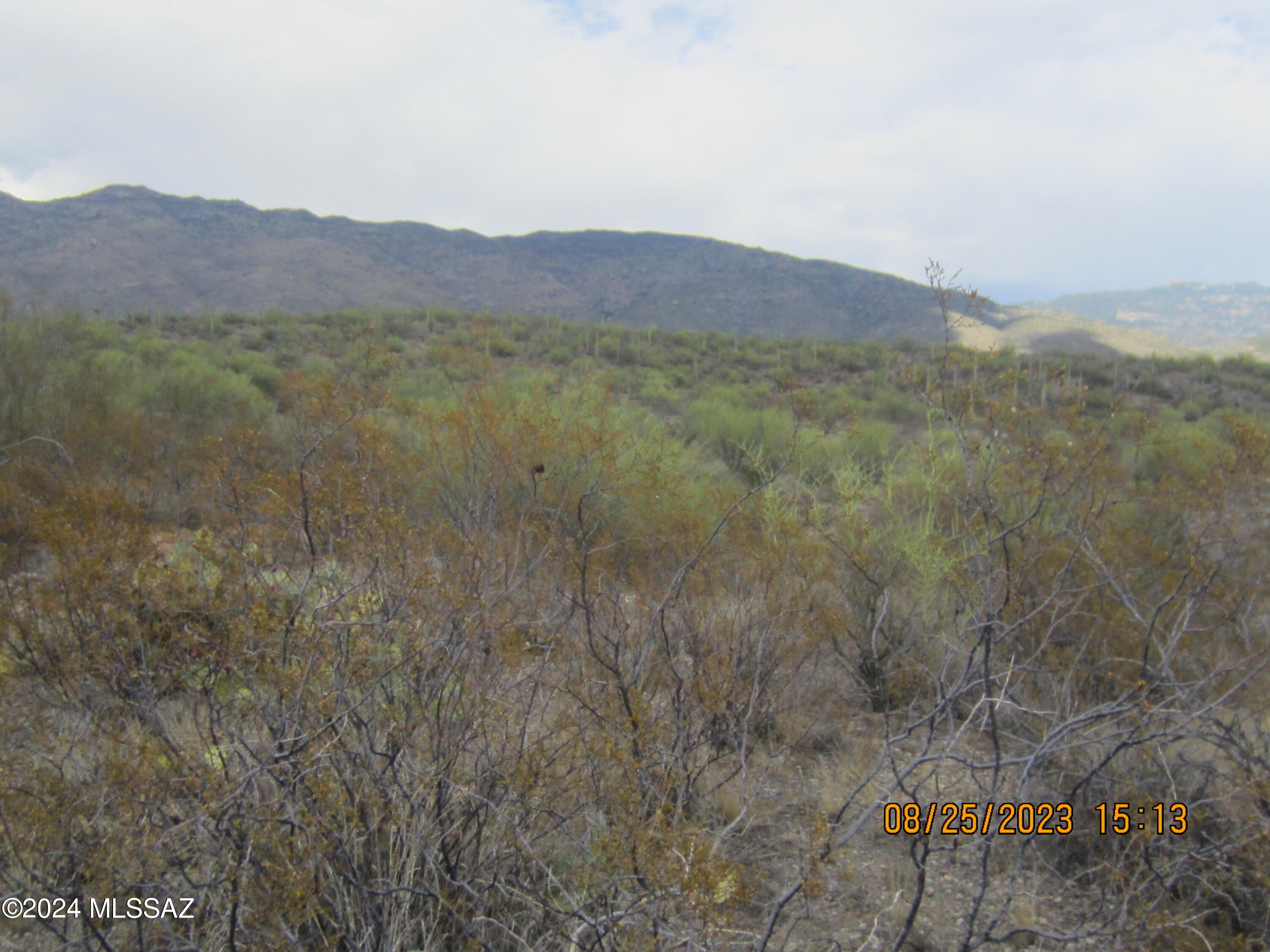 0 East Rincon Creek Ranch Road Tucson, AZ 85747 - Photo 2 of 46 Gallery Image 2