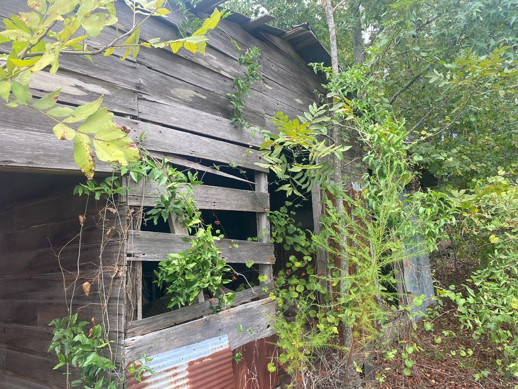 250 Adams Mill Road Clayton, AL 36016 - Photo 64 of 74