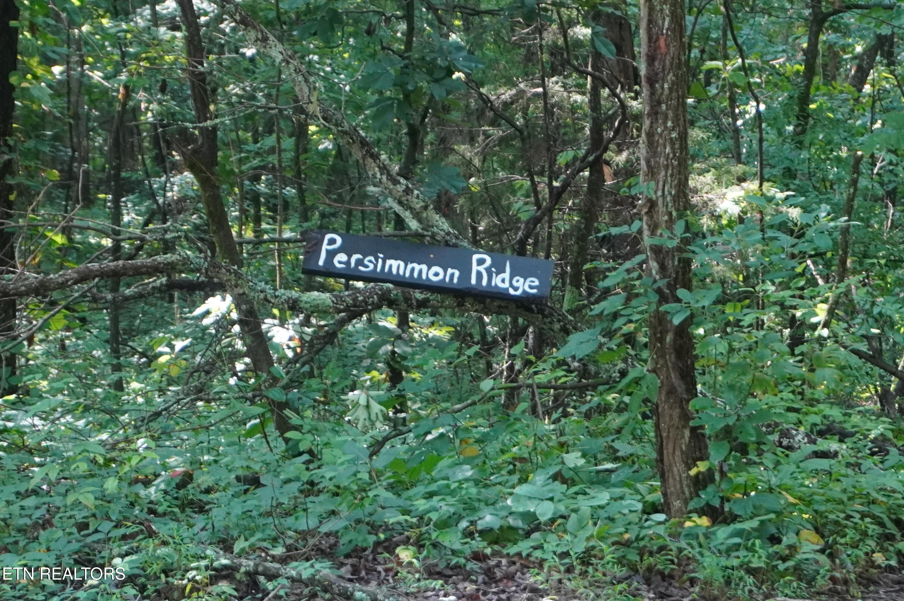 17 Pleasant View Cemetery Road New Market, TN 37820 - Photo 19 of 59 new list 1-2026 (23)