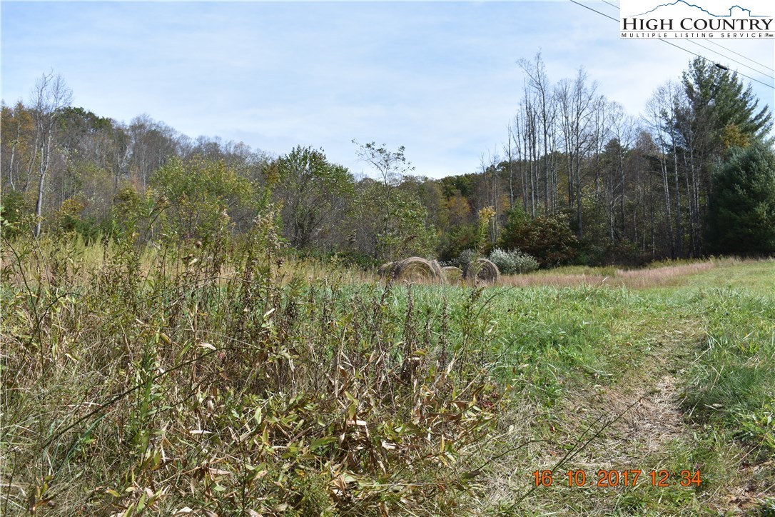 Shatley Springs Road Crumpler, NC 28617 - Photo 3 of 6 Gallery Image 3