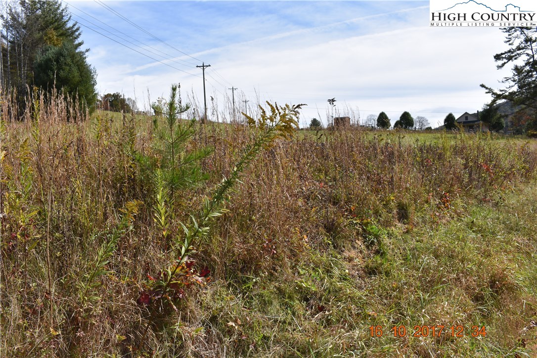 Shatley Springs Road Crumpler, NC 28617 - Photo 4 of 6 Gallery Image 4