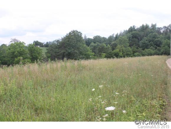 133 Franklin Knoll Road Alexander, NC 28701 - Photo 10 of 11 Gallery Image 10