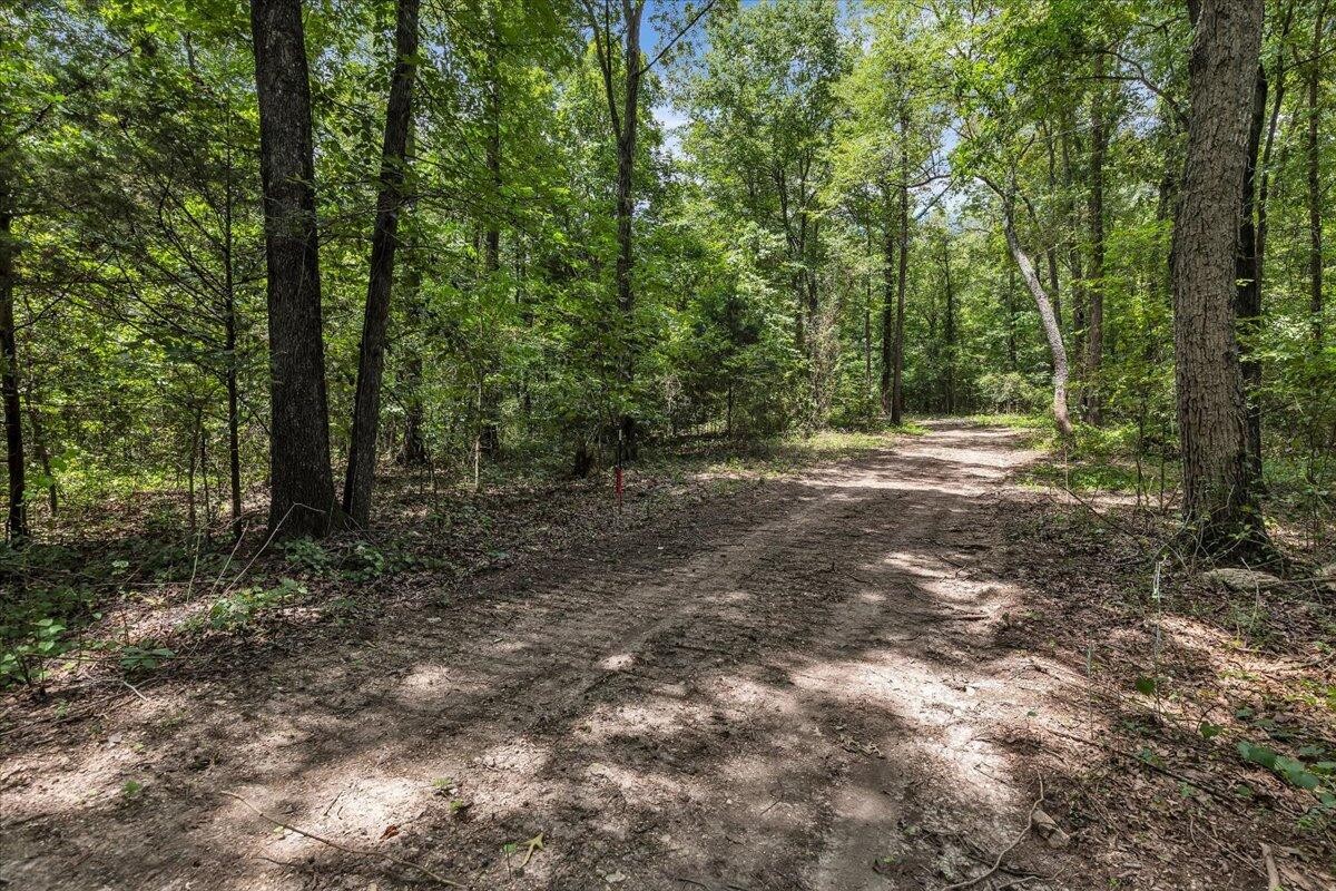 76 Meers Road Northwest Dalton, GA 30721 - Photo 22 of 49 Gallery Image 22