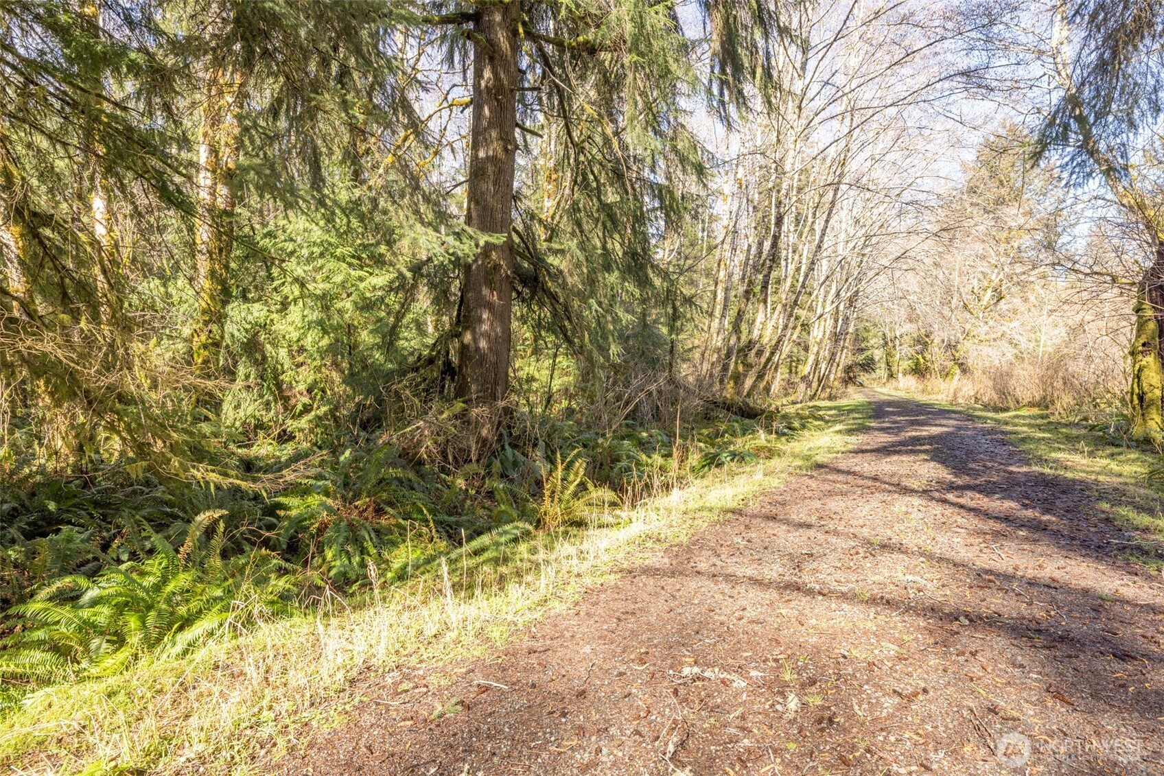 1 Swamp Road Clallam Bay, WA 98326 - Photo 7 of 10