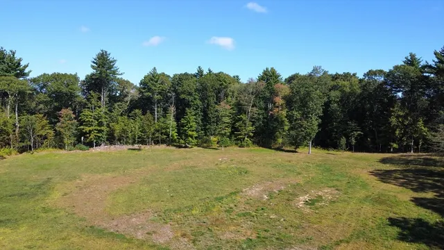 a yard with trees in the background