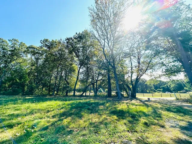 a view of outdoor space with deck and trees