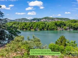 0 East Abbott Road East Lake Lure, NC 28746 - Photo 6 of 9