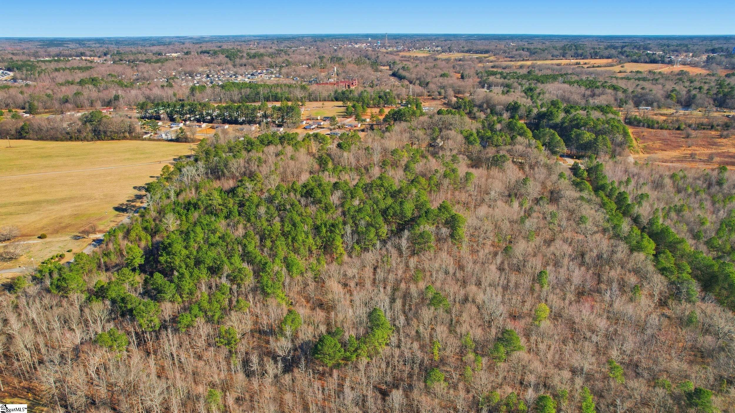 0 Apple Orchard Road Clinton, SC 29325 - Photo 6 of 22