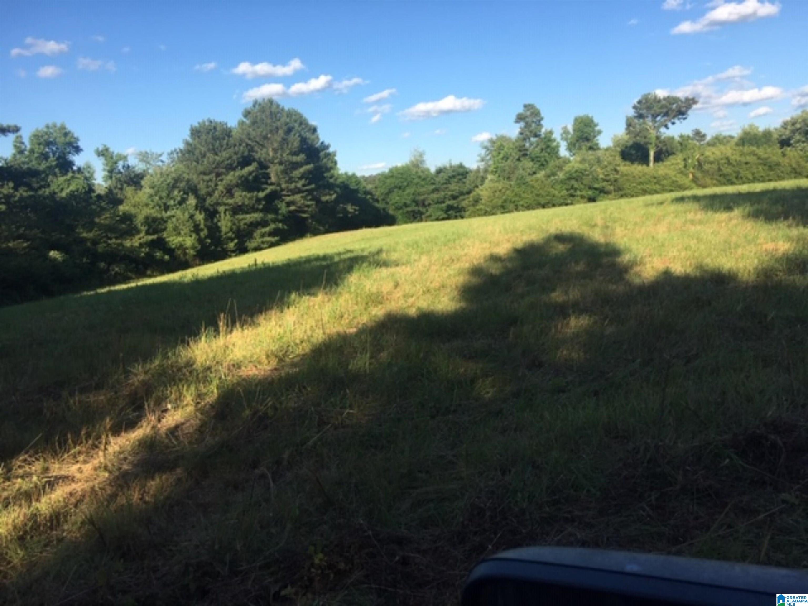0 County Road 141, Unit 1 Ider, AL 35981 - Photo 7 of 29