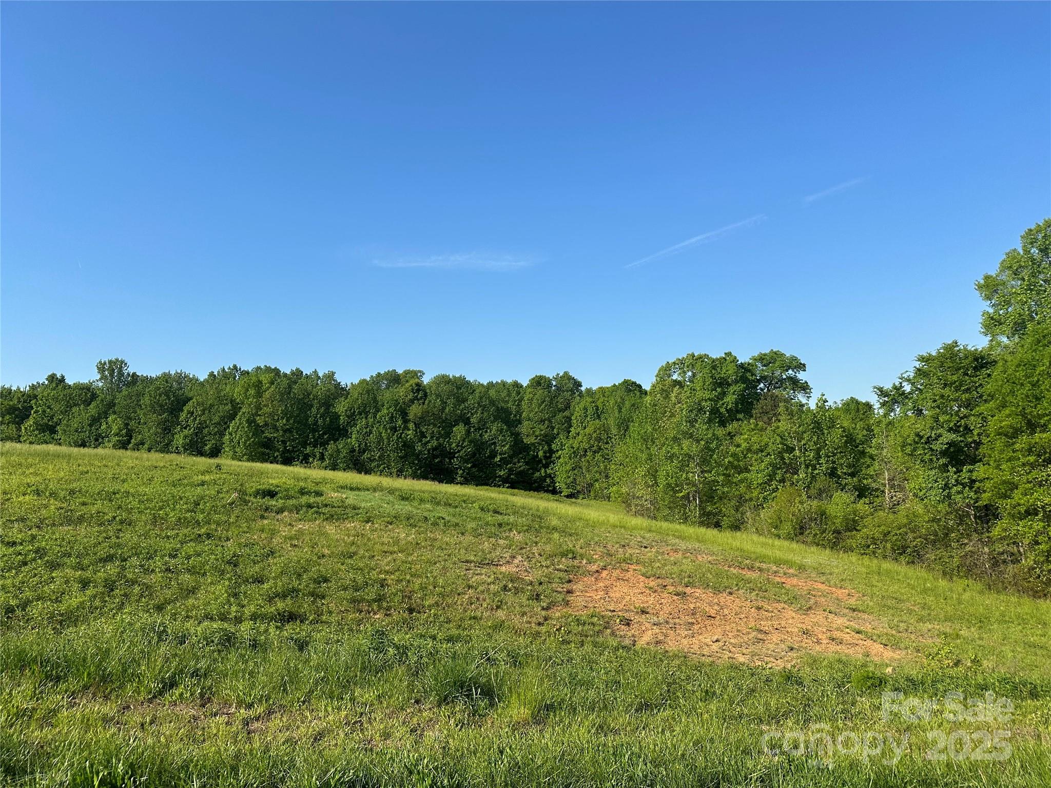0 Gourdvine Drive Marshville, NC 28103 - Photo 1 of 3 a view of field with trees in the background