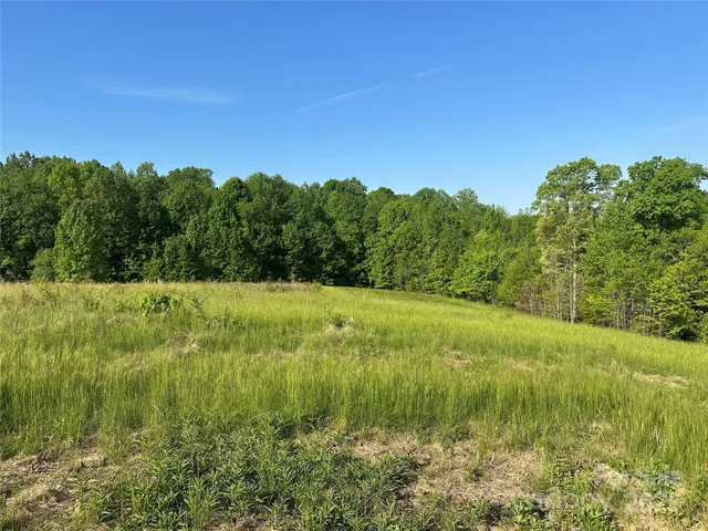 a view of a garden with a lake