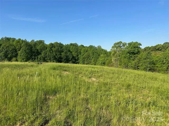 a view of field with trees in background