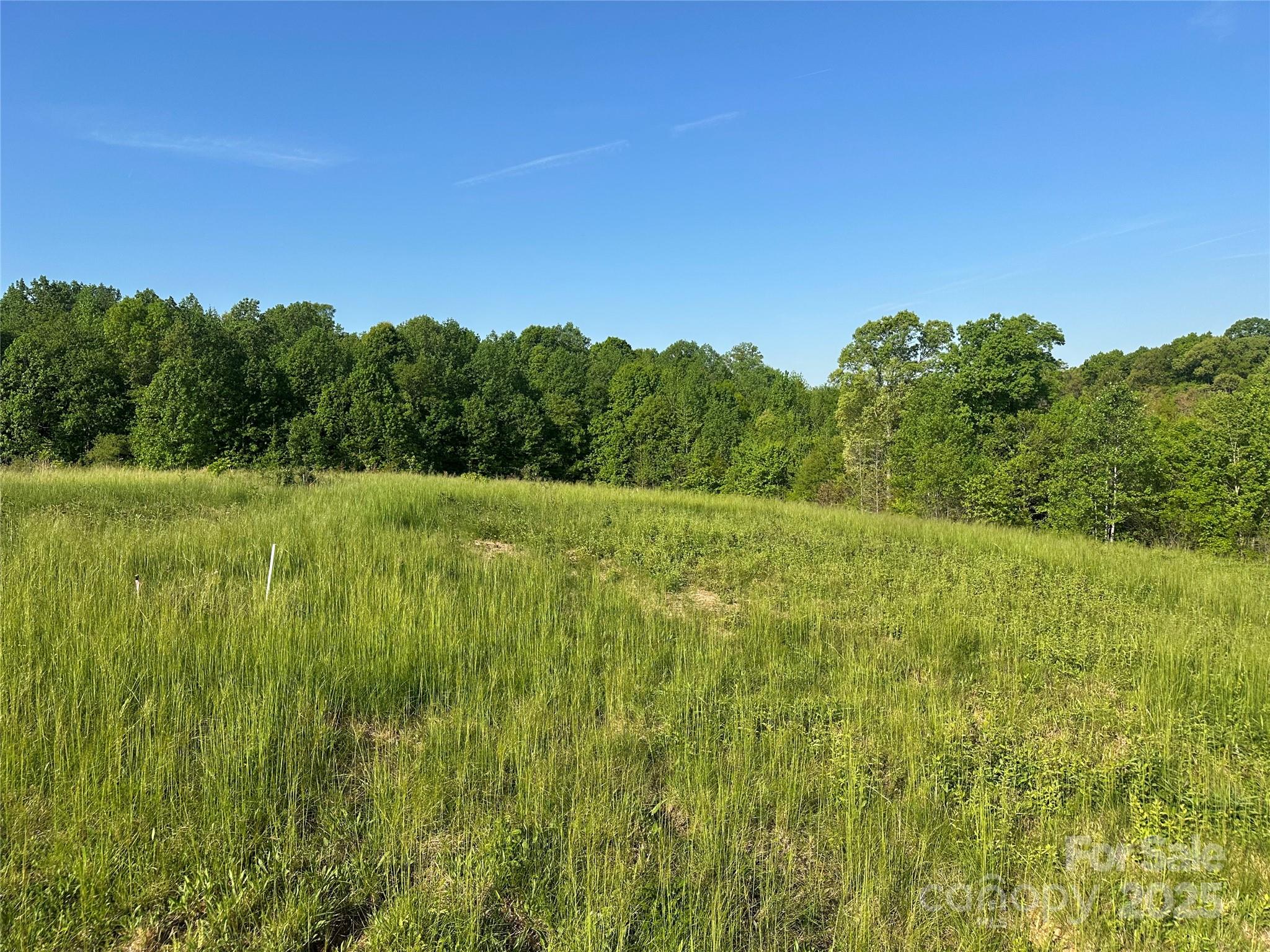 0 Gourdvine Drive Marshville, NC 28103 - Photo 3 of 3 a view of field with trees in background