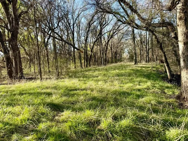 a view of outdoor space with trees all around