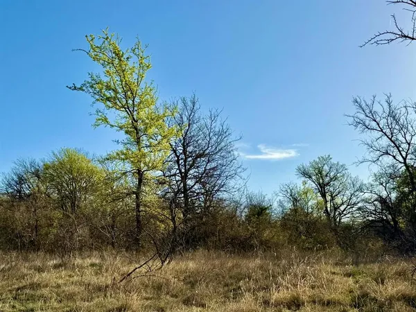a view of a yard with trees