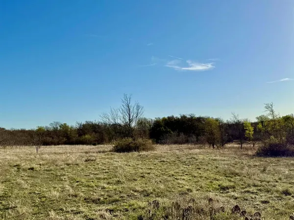 a view of yard with large trees